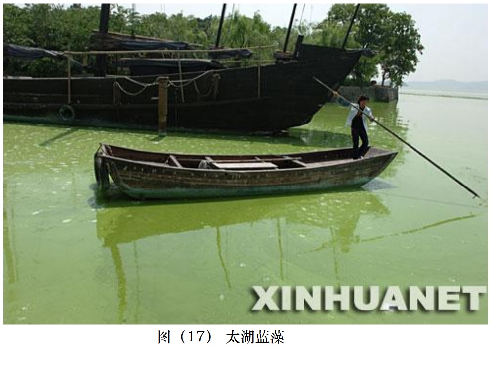  图（17） 太湖蓝藻