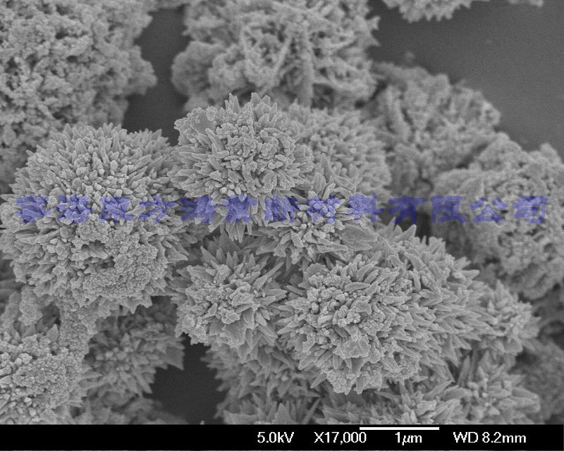 刺球状纳米镍粉x17000