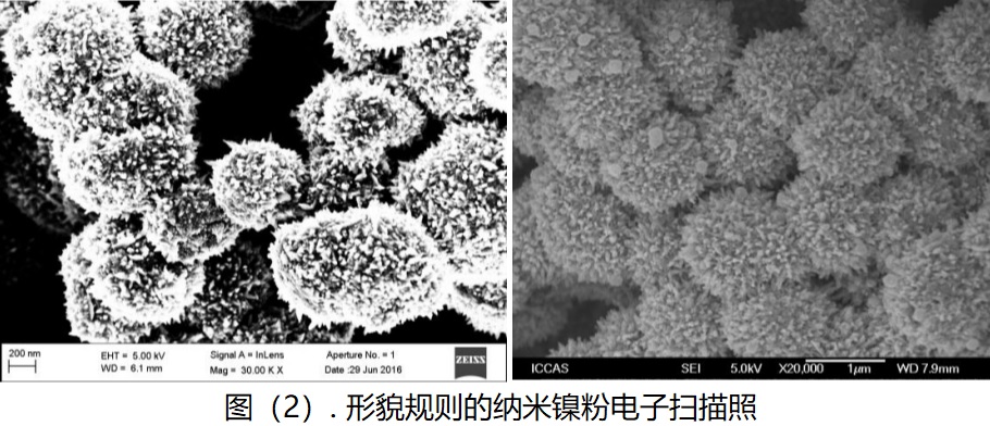 形貌规则的纳米镍粉电子扫描照片